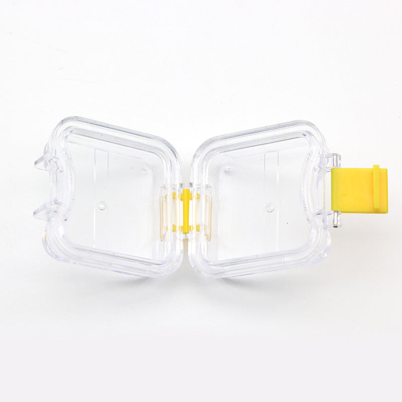 Transparent Denture Storage Box | Hygienic Dental Case for Seniors & Elderly Care