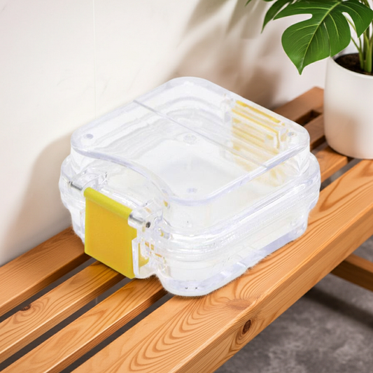 Transparent Denture Storage Box | Hygienic Dental Case for Seniors & Elderly Care